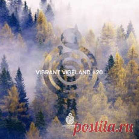 VA - Vibrant Vibeland 20 [Soundteller Records] - HOUSEFTP