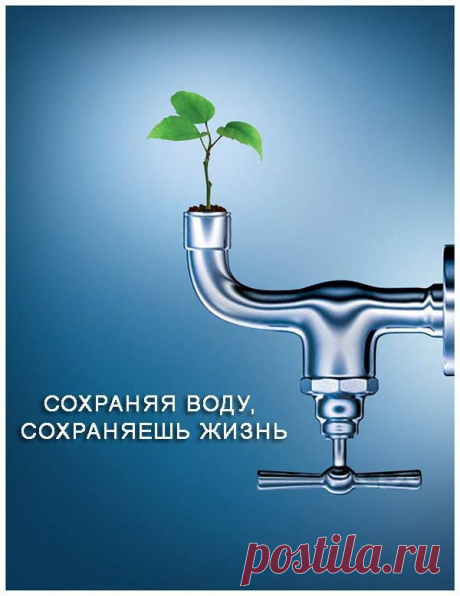 Запасы пресной воды на планете ограничены. От всей воды, которая есть на планете, пресная составляет всего около 2,5%! Из этого объёма доступной и пригодной для питья — ещё меньше. А ведь вовсе не сложно выключить воду в то время, когда вы намыливаетесь, принимая душ. Также можно экономить воду, используя экономичные душевые головки с расходом менее 10 л/минуту. И специальные насадки на кран, уменьшающие расход воды.

Не пропустите ЭКО советы от Гринпис Росси! Подпишитесь на наши новости: