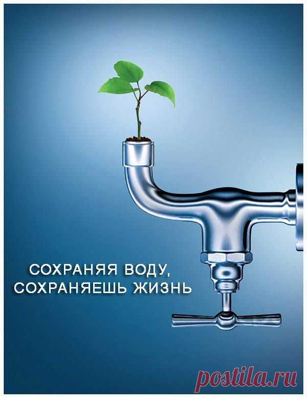 Запасы пресной воды на планете ограничены. От всей воды, которая есть на планете, пресная составляет всего около 2,5%! Из этого объёма доступной и пригодной для питья — ещё меньше. А ведь вовсе не сложно выключить воду в то время, когда вы намыливаетесь, принимая душ. Также можно экономить воду, используя экономичные душевые головки с расходом менее 10 л/минуту. И специальные насадки на кран, уменьшающие расход воды.

Не пропустите ЭКО советы от Гринпис Росси! Подпишитесь на наши новости: