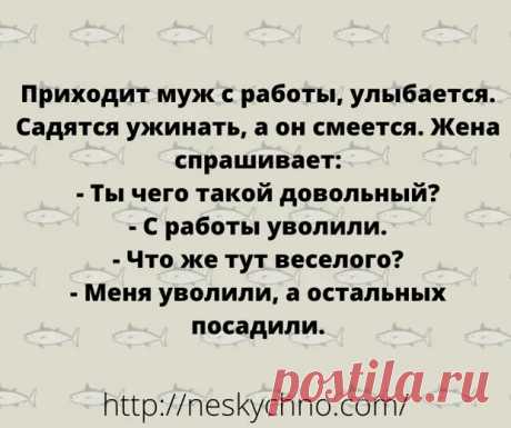 (30) Вечерняя подборка смешных анекдотов - Сказка для двоих - медиаплатформа МирТесен