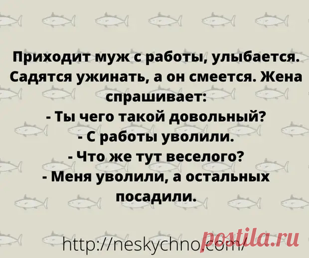(30) Вечерняя подборка смешных анекдотов - Сказка для двоих - медиаплатформа МирТесен