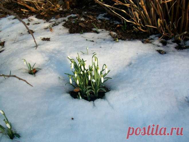 ФОТОМАСТЕРСКАЯ ПРИРОДЫ
Лидия Шнайдер(Руппель)