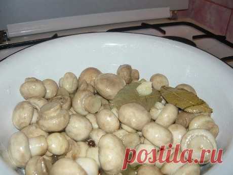 Грибы маринованные