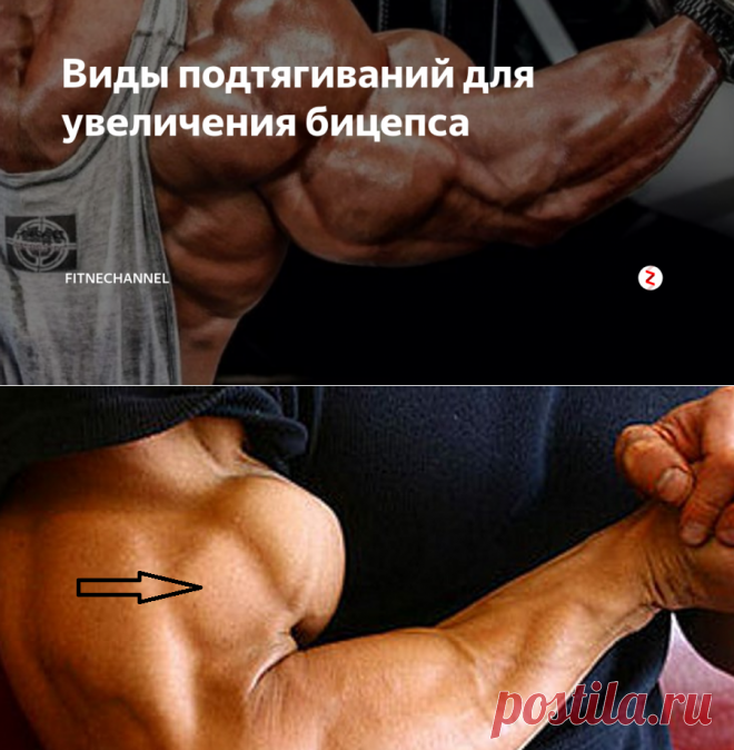 Как за неделю увеличить бицепс