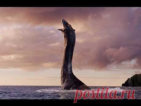 Лох-несское чудовище объявилось в Ирландии The Loch ness monster declare it in Ireland - YouTube