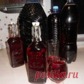 НАЛИВКА ИЗ ЧЕРНОПЛОДНОЙ РЯБИНЫ... 
Три проверенных рецепта... 
Начну с достаточно популярного рецепта с вишневыми листьями. В большинстве источников этот напиток идентифицируют как ликер, но я с ними не согласен. Типичная наливка. По названию понятно, что напиток придется по вкусу слабому полу – малый градус, много сахара. 
250 г черноплодной рябины; 
50 г вишневых листьев; 
800 г сахара; 
0,8-1 л воды; 
0,5 л водки; 
2 ч. л. лимонной кислоты. 
Ягоды помыть, перебрать и вместе с листьями вишн