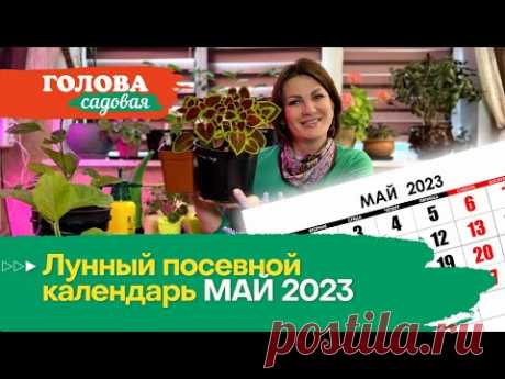 Голова садовая - Лунный посевной календарь МАЙ 2023