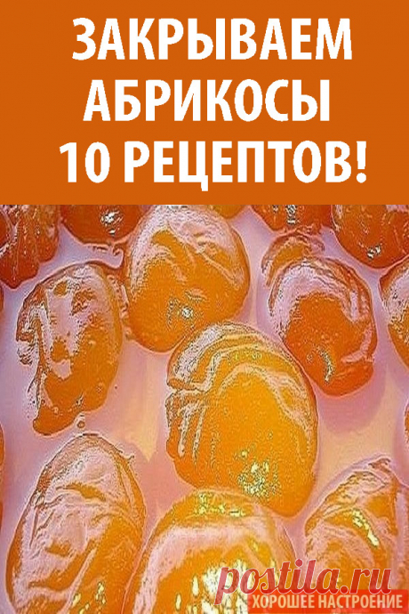 Закрываем абрикосы — 10 рецептов!
