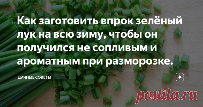 Как заготовить впрок зелёный лук на всю зиму, чтобы он получился не сопливым и ароматным при разморозке. Заготовка зеленого лука
Разве будет кто-то спорить с тем, что нет ничего лучше, чем  употреблять зимой зеленый лук, который заготовлен впрок? Но это не тот  лук, что куплен в магазине, а выращенный с любовью и душой на  собственной грядке.
Заготовить его несложно. Для этого его необходимо просто заморозить. Лук  отнюдь не станет «сопливым» после того, как его разморозят...