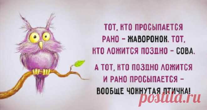 Весёлые картинки — Хорошее настроение – залог удачного дня.
  Весёлые картинки — Хорошее настроение – залог удачного дня. Удивительно, но...
Читай дальше на сайте. Жми подробнее ➡