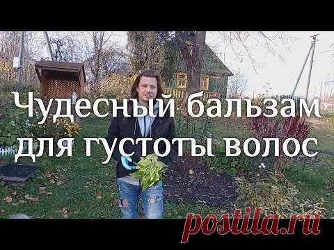 Чудесный бальзам для густоты волос - YouTube