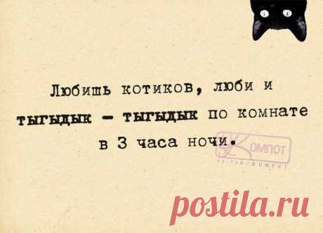 ПРИКОЛЬНЫЕ ФРАЗОЧКИ В КАРТИНКАХ