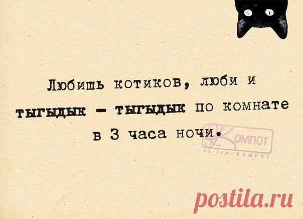 ПРИКОЛЬНЫЕ ФРАЗОЧКИ В КАРТИНКАХ