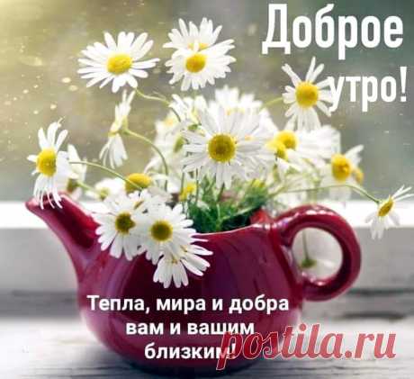 ВСЕМ ДОБРОЕ УТРО!!!

Пусть этот день с улыбки начинается,
С приятных мыслей и чудесных слов!