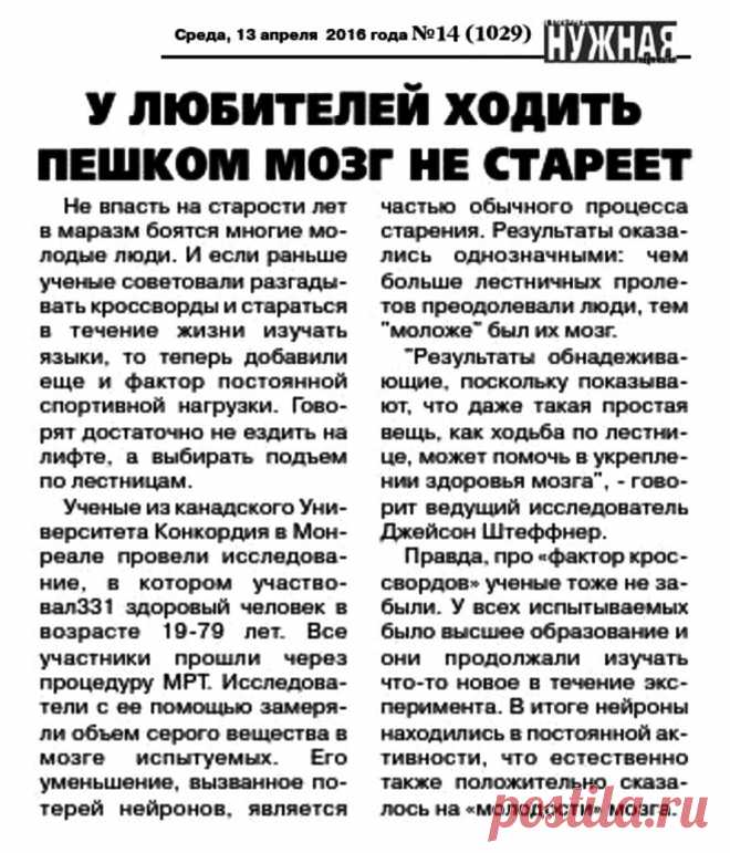 У любителей ходить пешком мозг не стареет