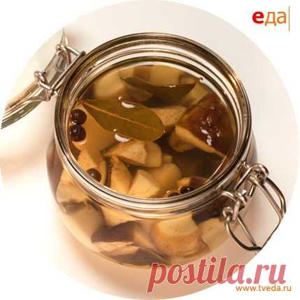 Маринованные белые грибы