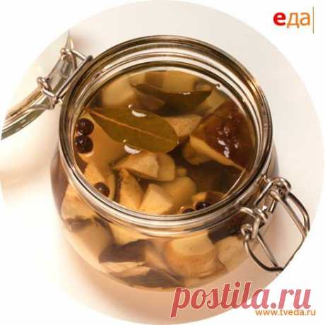 Маринованные белые грибы