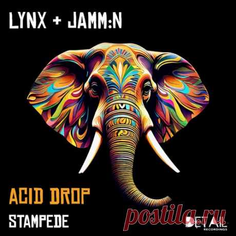 Lynx & Jamm n - Acid Drop [Detail Recordings]