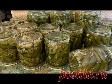 Маринованные кисло-сладкие корнишоны с горчицей,как покупные!