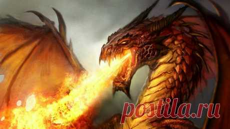 Download Fire Breathing Dragon Portrait Wallpaper | Wallpapers.com Download Fire Breathing Dragon Portrait wallpaper for your desktop, mobile phone and table. Multiple sizes available for all screen sizes. 100% Free and No Sign-Up Required.