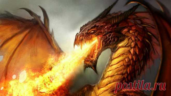 Download Fire Breathing Dragon Portrait Wallpaper | Wallpapers.com Download Fire Breathing Dragon Portrait wallpaper for your desktop, mobile phone and table. Multiple sizes available for all screen sizes. 100% Free and No Sign-Up Required.