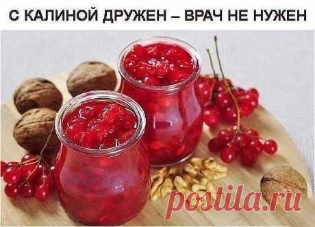 С КАЛИНОЙ ДРУЖЕН – ВРАЧ НЕ НУЖЕН
ЦЕЛЕБНЫЕ свойства КАЛИНЫ: простые рецепты.

Калина - одна из самых ПОЛЕЗНЫХ ягод в природе.
В калине всё ЦЕЛЕБНО: кора, веточки, цветы, ягоды и сушёные косточки.
Наши предки о лечебных свойствах калины, знали, что ее ягоды улучшают работу сердца, обладают успокаивающим действием.

Витамина С в калине в 1, 5 раза больше чем в лимоне. В ней есть железо, селен, йод, каротин, фосфор.

С мёдом калину назначали при простудных заболеваниях.
Чай из...