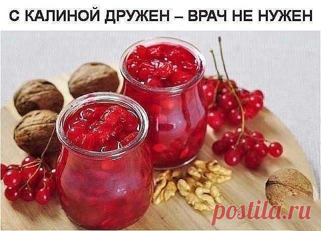 С КАЛИНОЙ ДРУЖЕН – ВРАЧ НЕ НУЖЕН
ЦЕЛЕБНЫЕ свойства КАЛИНЫ: простые рецепты.

Калина - одна из самых ПОЛЕЗНЫХ ягод в природе.
В калине всё ЦЕЛЕБНО: кора, веточки, цветы, ягоды и сушёные косточки.
Наши предки о лечебных свойствах калины, знали, что ее ягоды улучшают работу сердца, обладают успокаивающим действием.

Витамина С в калине в 1, 5 раза больше чем в лимоне. В ней есть железо, селен, йод, каротин, фосфор.

С мёдом калину назначали при простудных заболеваниях.
Чай из...