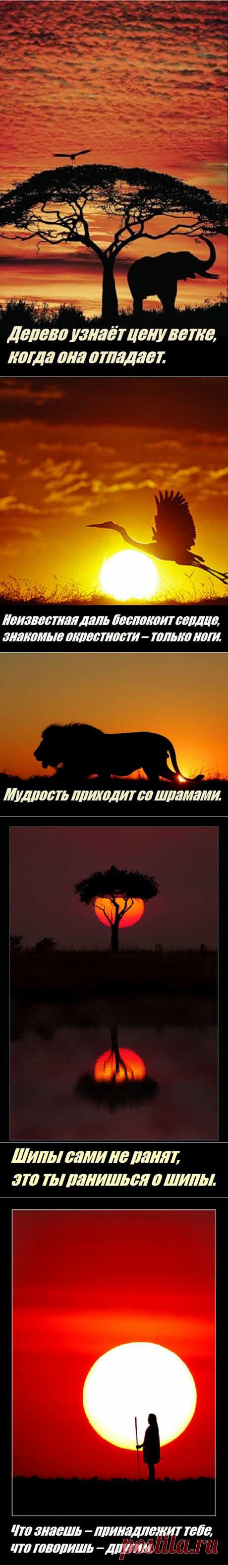 OWL Блюз - Мудрость Африки