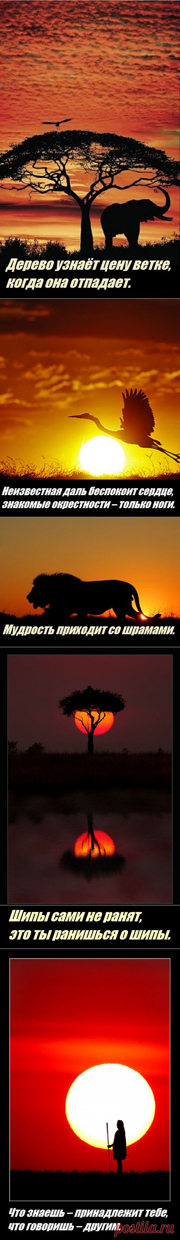 OWL Блюз - Мудрость Африки