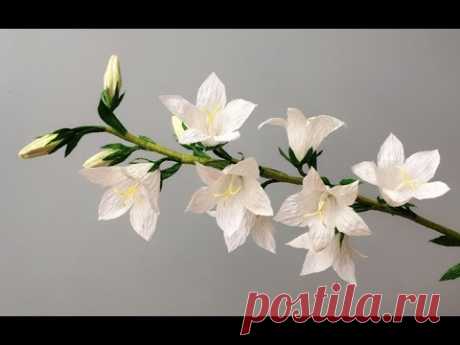 ABC TV | How To Make White Peachleaf Bellflower Paper Flower - Craft Tutorial