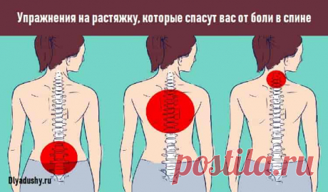 Упражнения на растяжку, которые спасут вас от боли в спине Упражнения на растяжку, которые спасут вас от боли в спине. Большинство людей, работающих в офисе за компьютером, не понаслышке знакомы с мучительной Упражнения на растяжку, которые спасут вас от боли в спине.Большинство людей, работающих в офисе за компьютером, не понаслышке знакомы