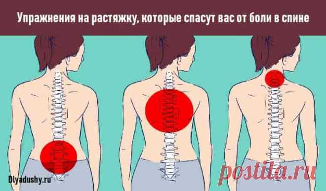 Упражнения на растяжку, которые спасут вас от боли в спине Упражнения на растяжку, которые спасут вас от боли в спине. Большинство людей, работающих в офисе за компьютером, не понаслышке знакомы с мучительной Упражнения на растяжку, которые спасут вас от боли в спине.Большинство людей, работающих в офисе за компьютером, не понаслышке знакомы