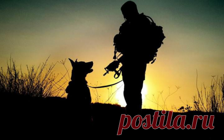Боевые друзья