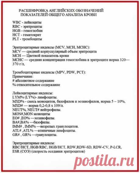 Как расшифровать анализ крови — Полезные советы