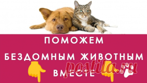 Шарлотка капустная - Выпечка,тортики и прочее - Кулинарные рецепты ! - ФотоКулинария