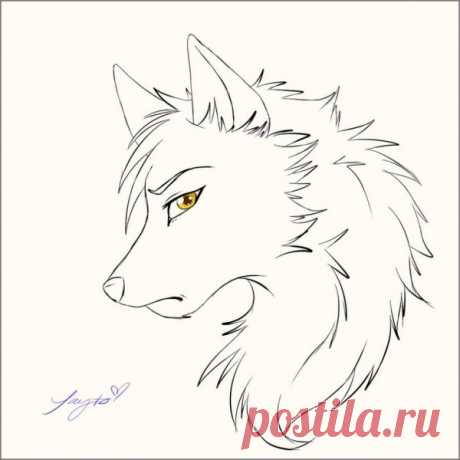 Рисунок аниме волк (29 фото) » Рисунки для срисовки и не только