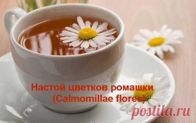 Настой цветков ромашки (Calmomillae flores)