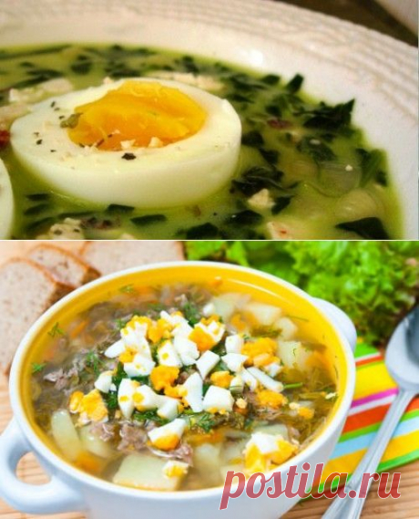 Рецепты супов из щавеля – легко и вкусно! / Простые рецепты