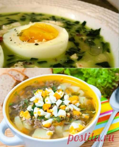 Рецепты супов из щавеля – легко и вкусно! / Простые рецепты