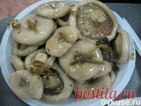 Как солить белые грузди - Простые рецепты Овкусе.ру