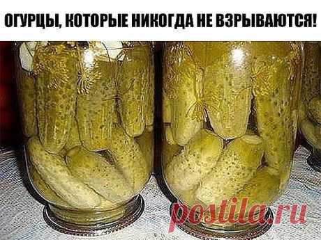 Как я консервирую огурцы, которые никогда не взрываются! Старинный рецепт моей семьи
Этот рецепт огурцов кажется немного странным, но огурцы закрученные таким способом никогда не взрываются. Более того, не надо НИЧЕГО стерилизовать и кипятить!
1. Нам понадобятся свежесобранные огурцы, если нет – замачиваем их на 4-6 часов в холодной воде для хруста.
2. Подготавливаем банки. Моем тщательно с чистящим средством, переворачиваем и ставим на чистое полотенце.
3. К моменту консе...
