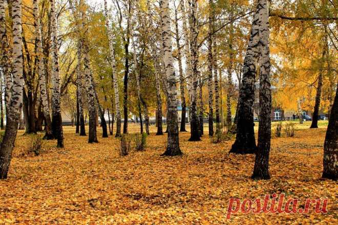 ФОТОМАСТЕРСКАЯ ПРИРОДЫ
Ольга Николаевна Горкун