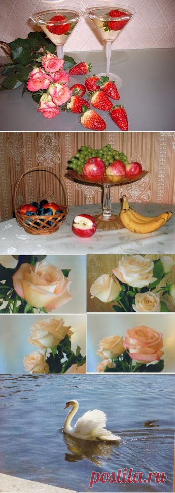 Фото-работы Беляевой С.А.