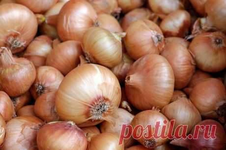 As cebolas são nossas amigas apesar de, por vezes, nos fazerem chorar! A cebola (Allium cepa) é um dos mais antigos vegetais do mundo, sendo cultivada pelo menos desde o Antigo Egipto. Estes legumes são extremamente saudáveis e possuem características curativas notáveis.