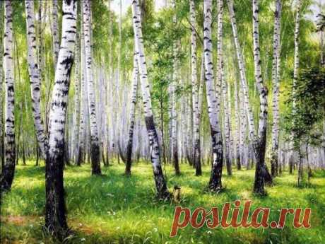 (94) Одноклассники