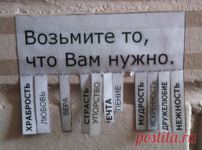 А что бы взяли вы?