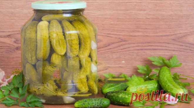 Простой и вкусный способ заготовки огурцов на зиму