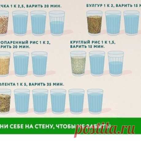 Какой твой любимый цвет?