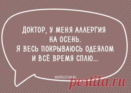 Остроумные и смешные фразы на каждый день!