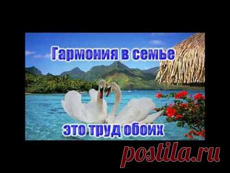 Самая главная ошибка в семейных отношениях - YouTube. Продолжение здесь: https://ashurakow.ru/category/f%D0%B0mily/